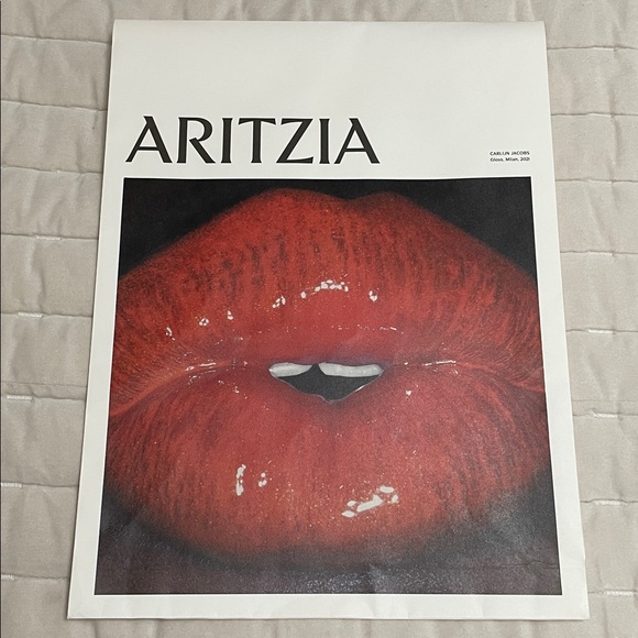 Aritzia Shopping and Packaging Bags Bundle - Picture 6 of 11